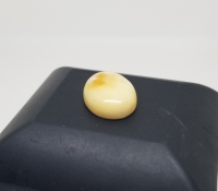 BİTKİ FOSİLLİ NADİR DAMLA KEHRİBAR YÜZÜK KAŞI