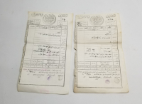 OSMANLI DÖNEMİ İKİ ADET SENED-İ HAKANİ - TAPU