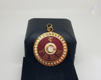 İLK DÖNEM MİNE İŞÇİLİKLİ ANTİKA MİLLETVEKİLİ ROZETİ - VEKİL ROZETİ