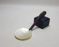 ANTİKA SEDEF KAŞIK