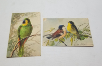 OSMANLI DÖNEMİ SANATÇI İMZALI ÖZEL YAPIM KARTPOSTAL LOTU