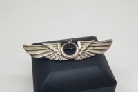 ANTİKA GÜMÜŞ HAVACI SUBAY BRÖVESİ