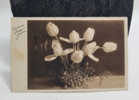 ORİJİNAL PULUYLA POSTADAN GEÇMİŞ ALMAN KARTPOSTAL