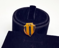 ALTIN KAPLAMA NOSTALJİK FENERBAHÇE ROZETİ