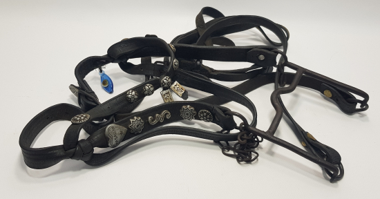 CUMHURİYET BAŞLARI ÇERKEZ AT KOŞUM TAKIMI