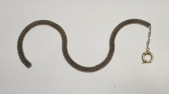 GÜMÜŞ SAAT KÖSTEĞİ