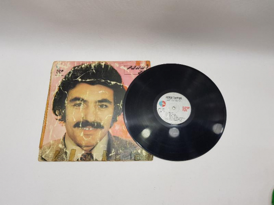 FERDİ TAYFUR FERDİ 77 33 DEVİR LP PLAK 