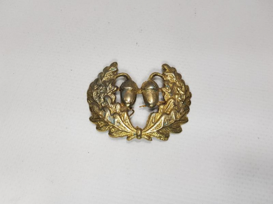 ORMANCILIKLA İLGİLİ BRÖVE