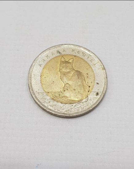 2015 ANKARA KEDİSİ 1 LİRA HATIRA PARA