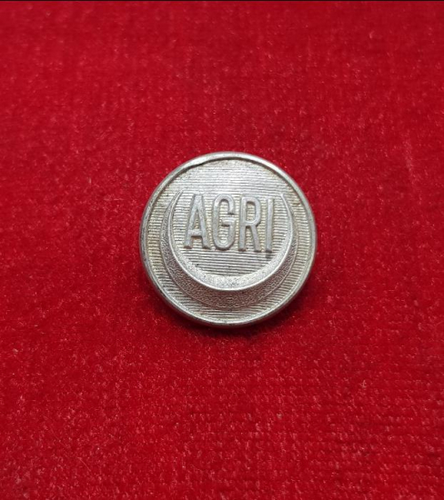 OSMANLI DÖNEMİ ÇOK NADİR GÜMÜŞ KAPLAMA SUBAY DÜĞMESİ 