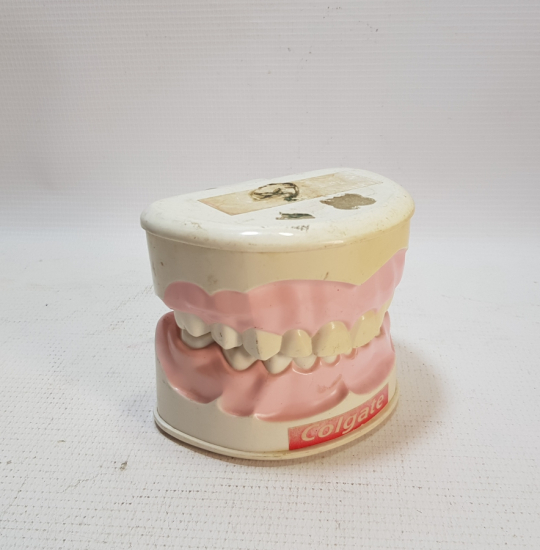 COLGATE PROMOSYON ÇENE VE DİŞLER MAKETİ