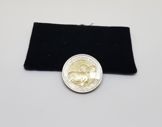 2015 ANADOLU YABAN KOYUNU 1 LİRA HATIRA PARA