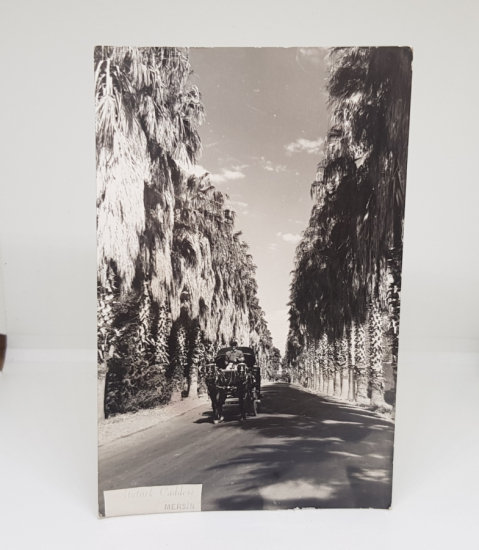 CUMHURİYET BAŞLARI SİYAH-BEYAZ MERSİN FOTOĞRAF