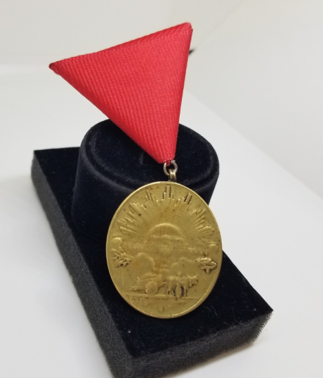 İSTİKLAL SAVAŞI MADALYASI - İSTİKLAL MADALYASI