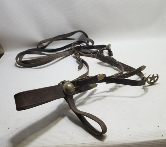 AY YILDIZ APLİĞİYLE TAM TAKIM SÜVARİ KOŞUMU