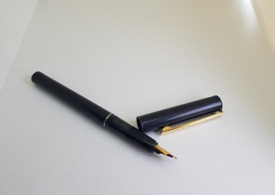 ÇİL KONDİSYONDA DOLMA KALEM