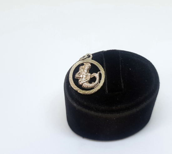 GÜMÜŞ BURÇ KOLYESİ