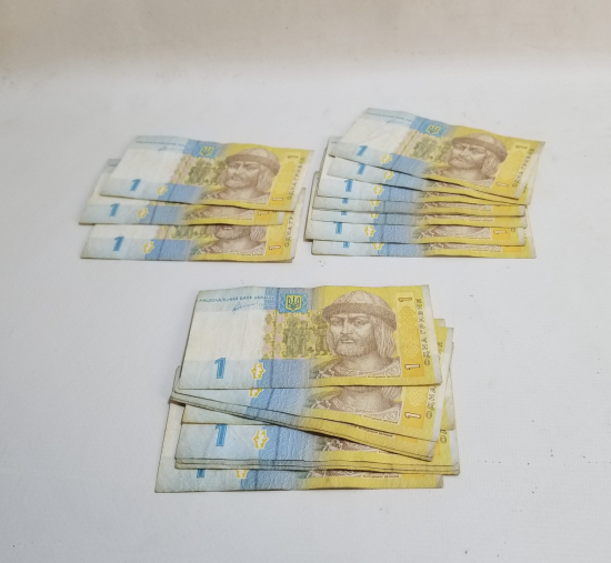20 ADET UKRAYNA 1 GRIVNA