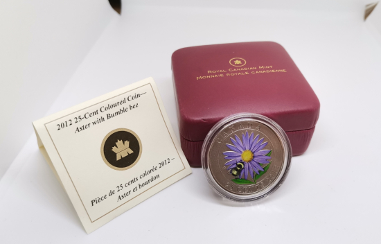 GÜMÜŞ KAPLAMA ÇİL KONDİSYONDA HATIRA KANADA 25 CENT