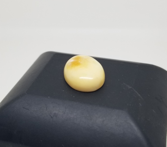 BİTKİ FOSİLLİ NADİR DAMLA KEHRİBAR YÜZÜK KAŞI