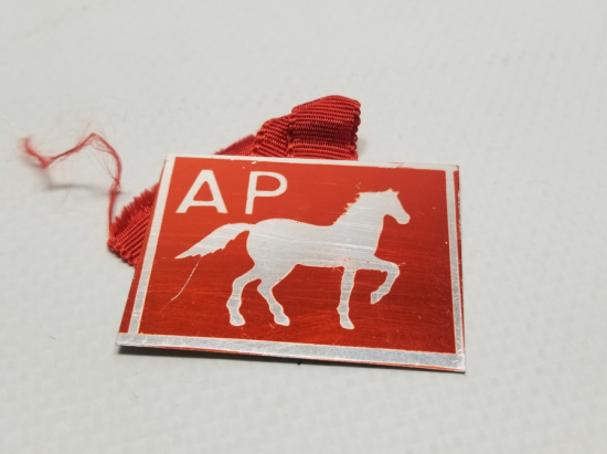 ANTİKA ADALET PARTİSİ ROZET