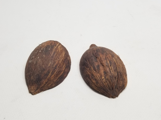 TESPİH YAPIMINA UYGUN ORTADAN KESİLMİŞ HAM KUKA