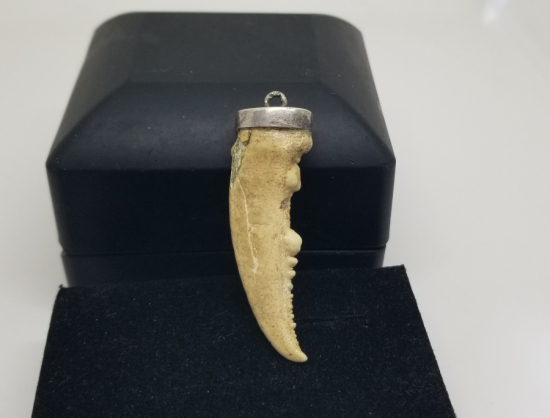 OSMANLI DÖNEMİ ŞAMAN KÜLTÜRÜ YENGEÇ BACAĞINDAN YAPILMIŞ KOLYE