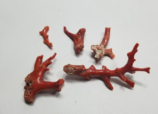 İŞLENMEMİŞ TUNUS MERCANLARI LOTU