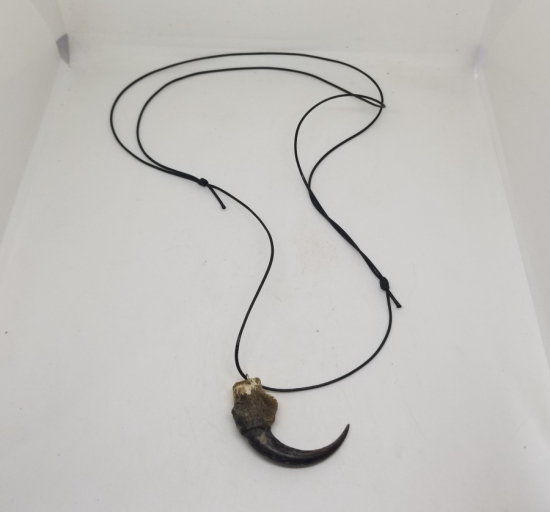 ŞAHİN PENÇESİNDEN YAPILMIŞ ÖZEL YAPIM KOLYE