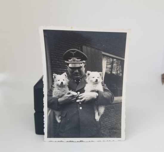 2. DÜNYA SAVAŞI DÖNEMİ KÖPEKLER VE ALMAN SUBAYI GÖRSELLİ FOTOĞRAF