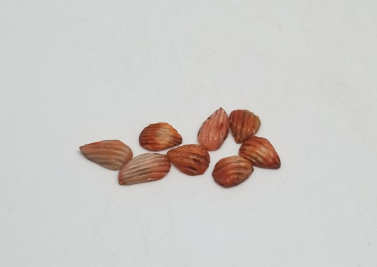 OSMANLI DÖNEMİ BADEM MERCAN TANELER