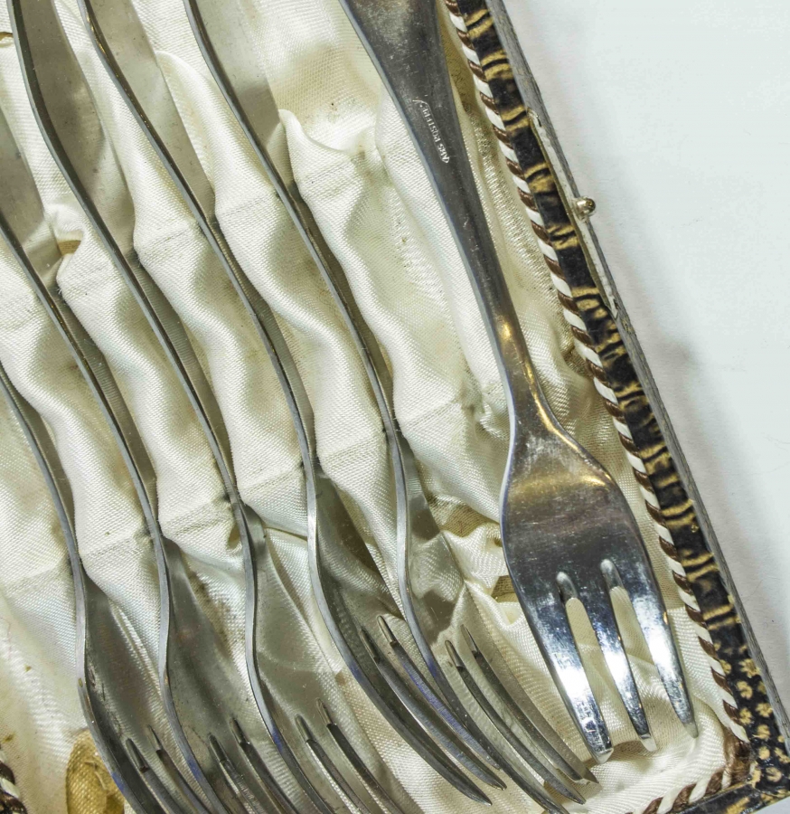 KUTUSUNDA GÜMÜŞ KAPLAMA ÇATAL SETİ