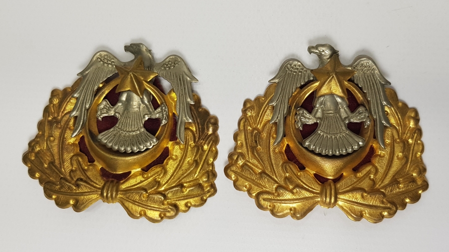 2 ADET HAVACI SUBAY ŞAPKA KOKARTI