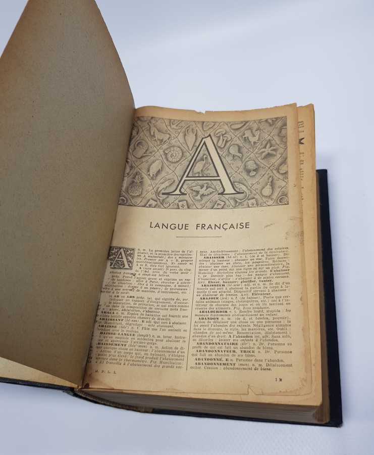 1900'LERDEN BOL GRAVÜRLÜ FRANSIZCA SÖZLÜK 