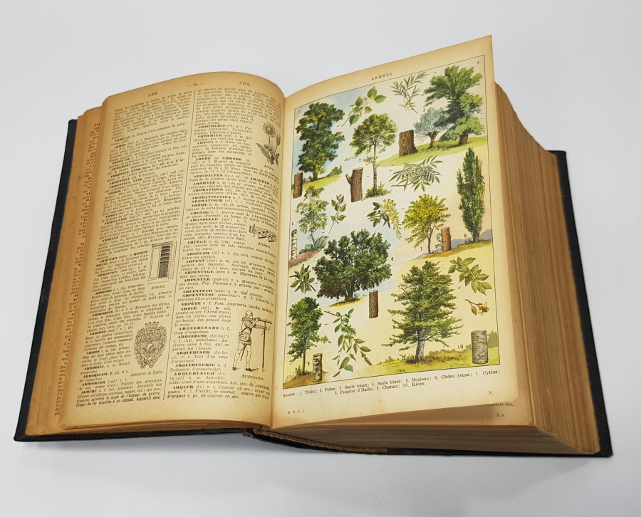 1900'LERDEN BOL GRAVÜRLÜ FRANSIZCA SÖZLÜK 