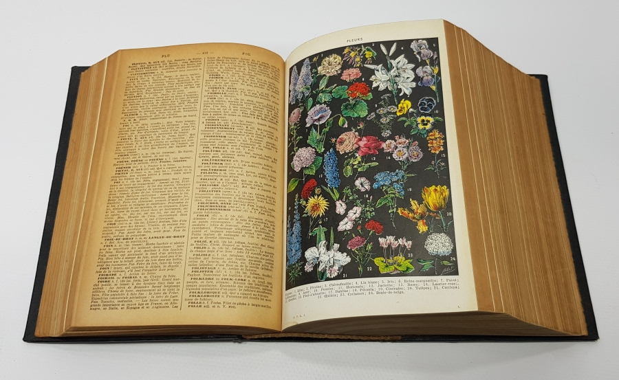 1900'LERDEN BOL GRAVÜRLÜ FRANSIZCA SÖZLÜK 