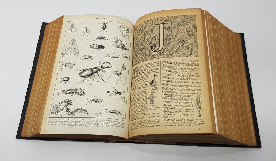 1900'LERDEN BOL GRAVÜRLÜ FRANSIZCA SÖZLÜK 