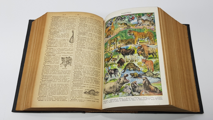 1900'LERDEN BOL GRAVÜRLÜ FRANSIZCA SÖZLÜK 