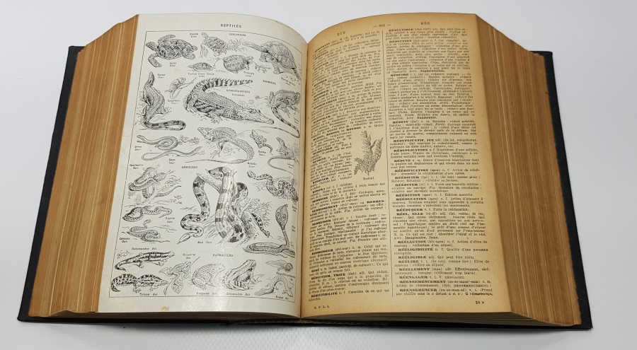 1900'LERDEN BOL GRAVÜRLÜ FRANSIZCA SÖZLÜK 