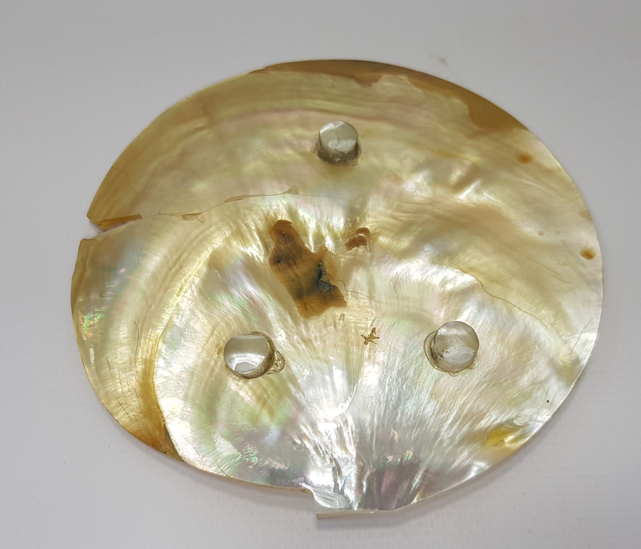 OSMANLICA AFİYET OLSUN EFENDİM YAZILI DENİZ KABUĞU İKRAMLIK