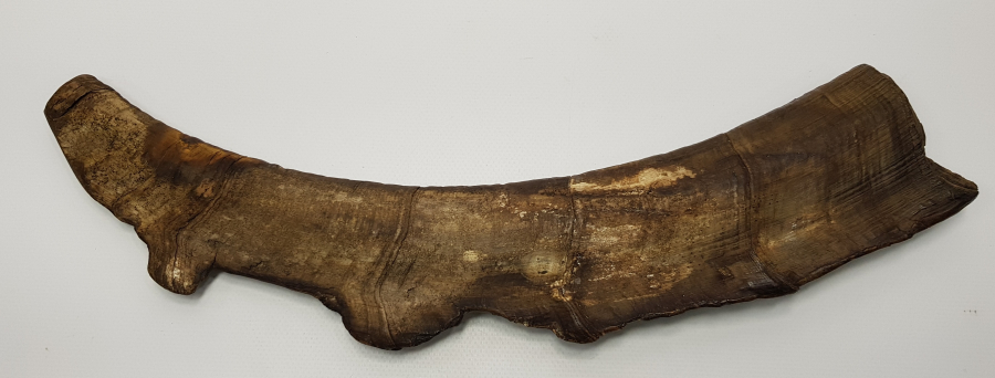 OSMANLI DÖNEMİ BEKTAŞİ İŞİ NEFİR