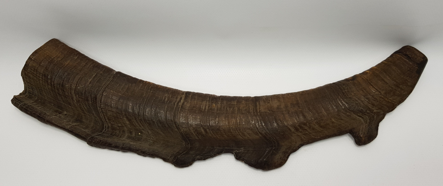 OSMANLI DÖNEMİ BEKTAŞİ İŞİ NEFİR