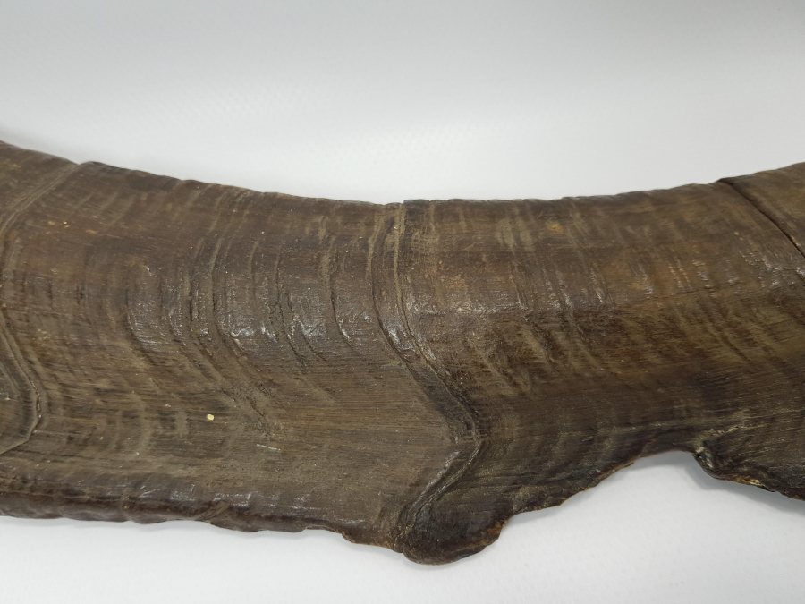 OSMANLI DÖNEMİ BEKTAŞİ İŞİ NEFİR