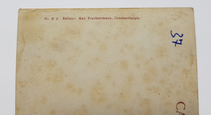 OSMANLI DÖNEMİ PADİŞAH MEHMED REŞAD HAN SALTANAT KAYIĞINDA TEMALI KARTPOSTAL