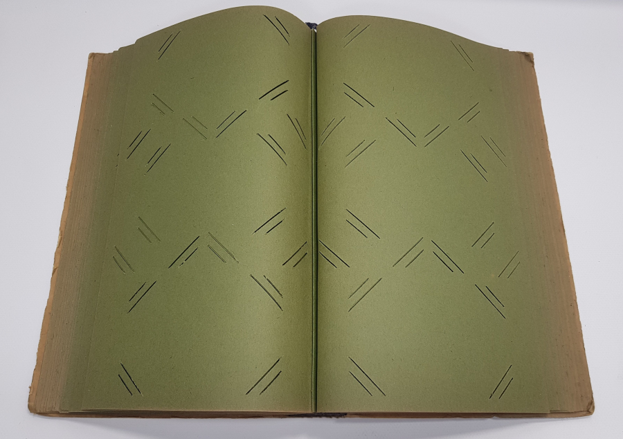 OSMANLI DÖNEMİ RESNE FOTOĞRAFHANESİ VİNYETLİ RESİM ALBÜMÜ