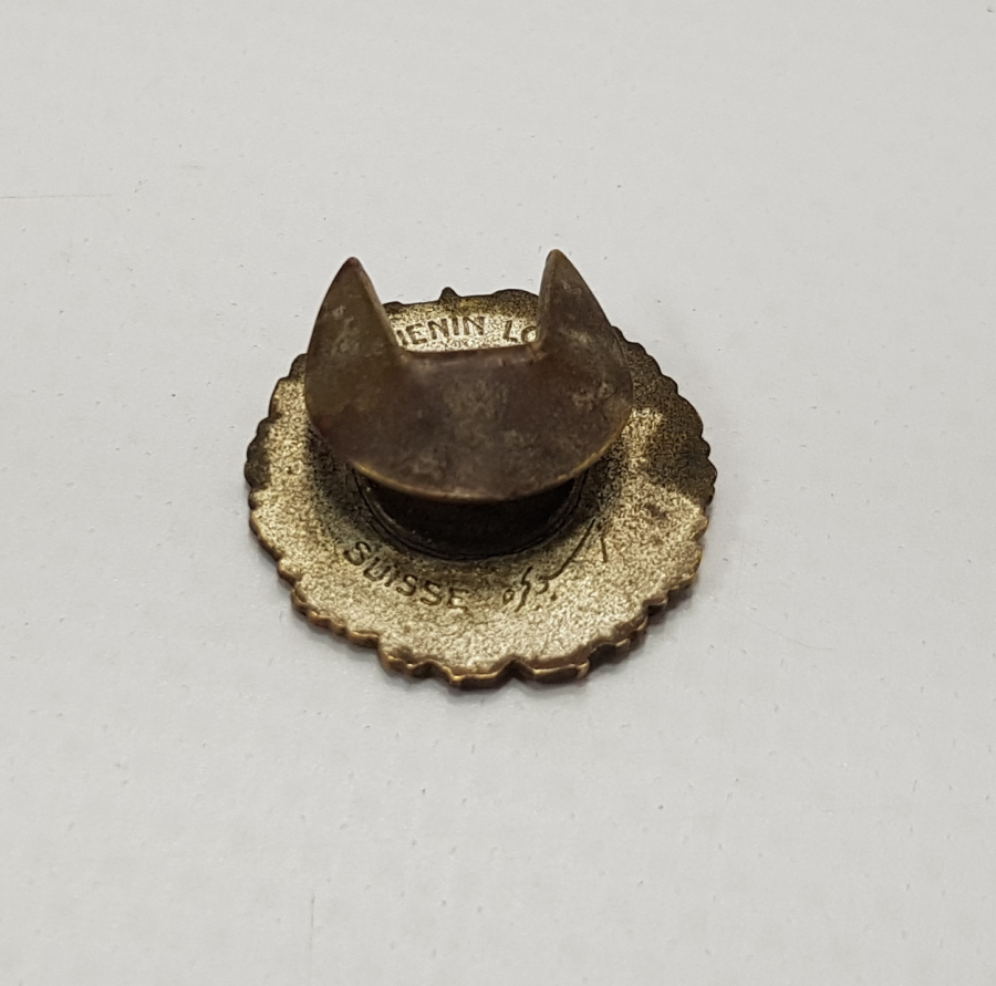 OSMANLICA YAZILI TÜRK TAYYARE CEMİYETİ ROZETİ