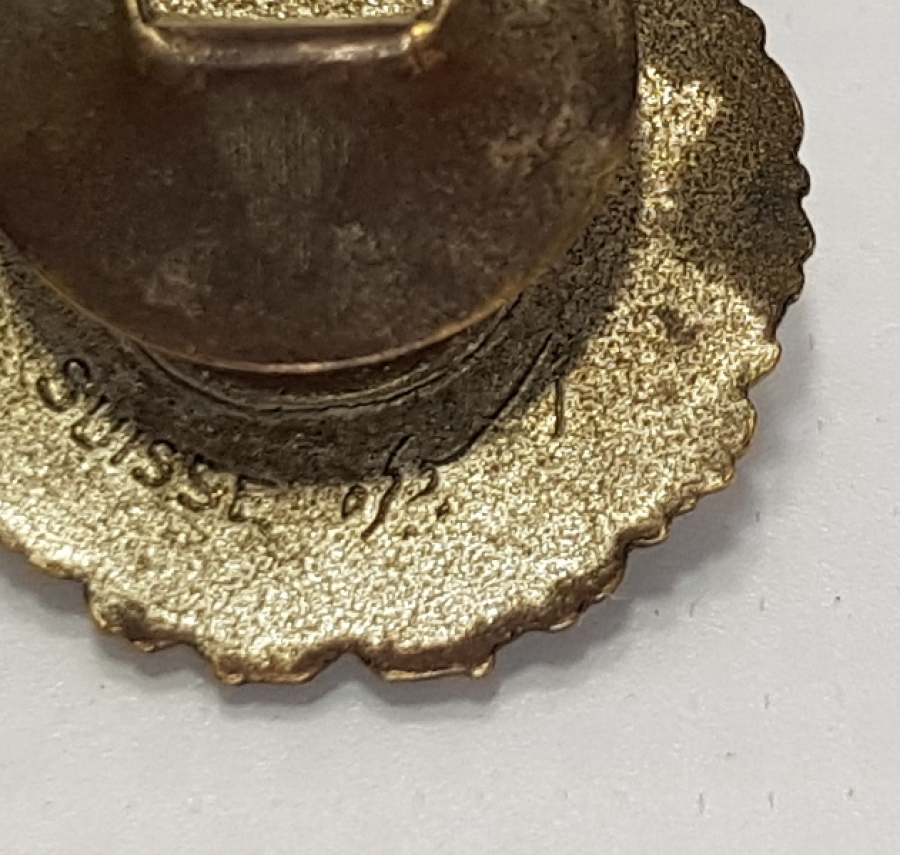 OSMANLICA YAZILI TÜRK TAYYARE CEMİYETİ ROZETİ