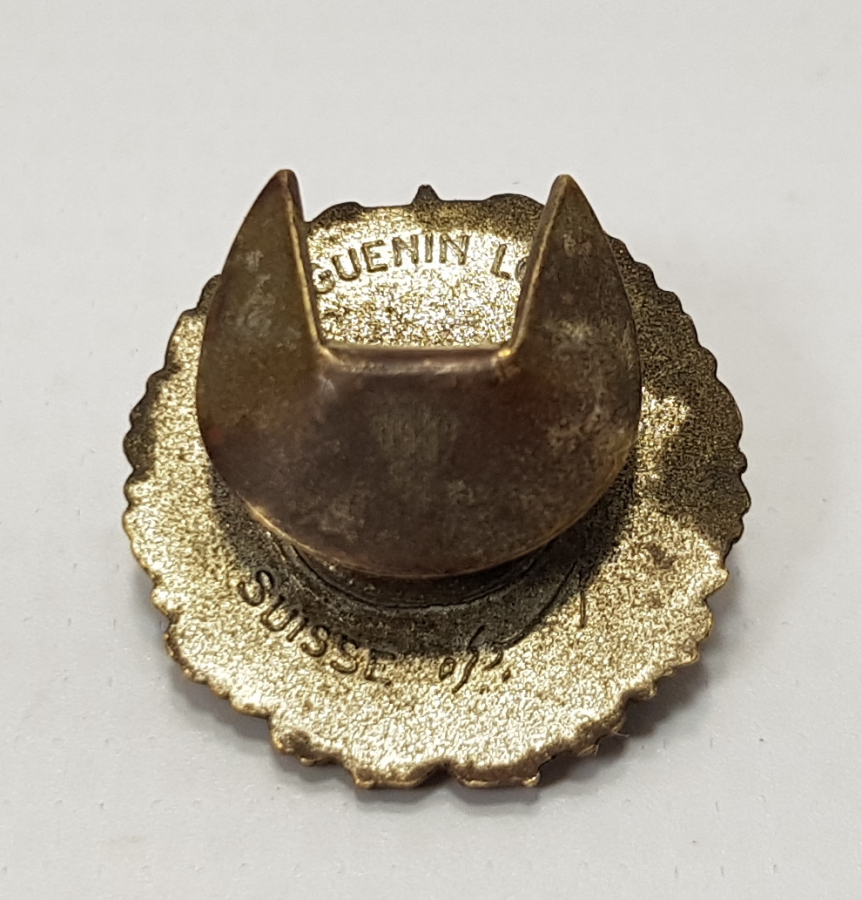 OSMANLICA YAZILI TÜRK TAYYARE CEMİYETİ ROZETİ