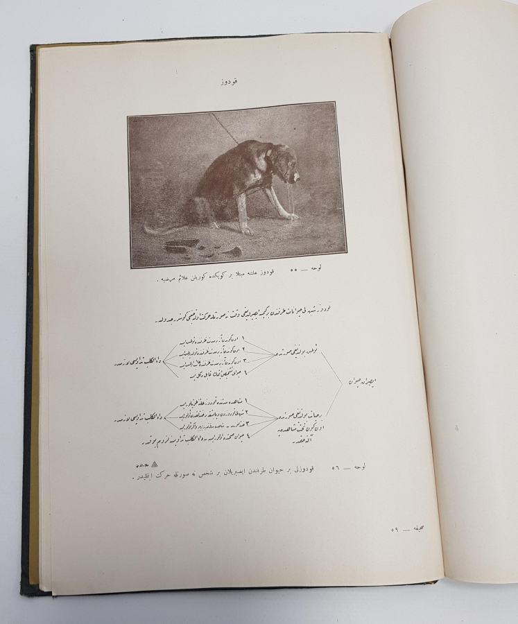 1926 YILI OSMANLICA SIHHİ MÜZE ATLASI - ÇOK NADİR 