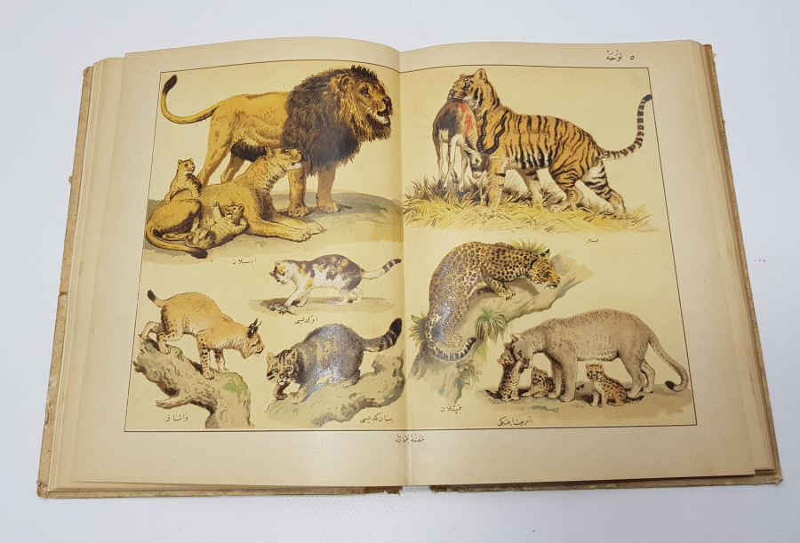 OSMANLICA KİTAP: MUSAVVER TARİFİ HAYVANAT